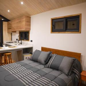 Deluxe One-Bedroom Apartment