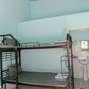 Bunk Bed in Mixed Dormitory Room