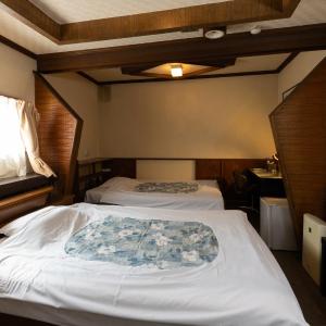 Economy Twin Room