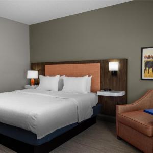 King Room with King Bed - Non-Smoking