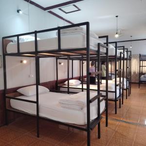 Bunk Bed in Mixed Dormitory Room