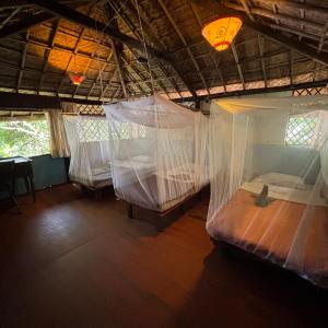 Bed in 4-Bed Mixed Dormitory Room