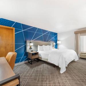 King Room - Accessible/Non-Smoking