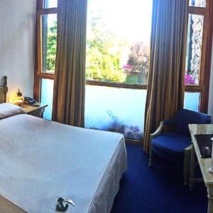 Single Room with Garden View