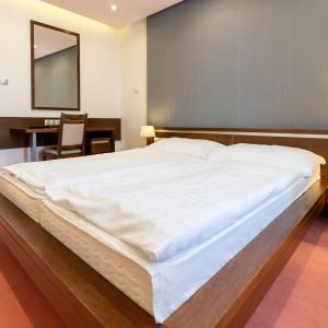One-Bedroom Deluxe Apartment