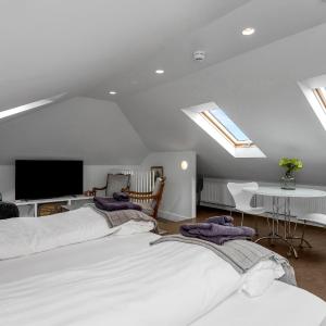Loft Suite