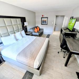 King Studio with Sofa Bed