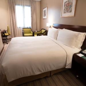 Premium King Room with City View