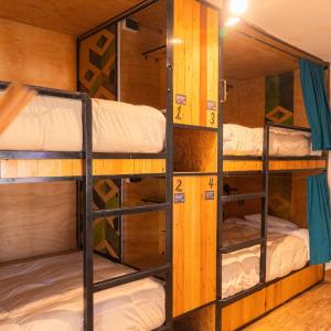 Bed in 4-Bed Mixed Dormitory Room