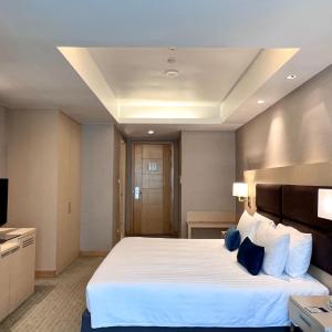 Deluxe King Room with City View