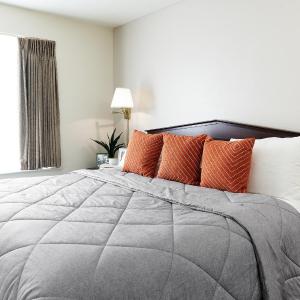 Traditional - 1 King Bed Studio w/ Kitchen