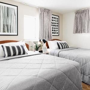Upgraded - 2 Full Bed Studio w/ Kitchen