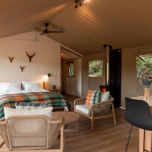 Premium tent (hot tub)
