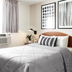 Upgraded - 1 Queen Bed Accessible Studio w/ Kitchen