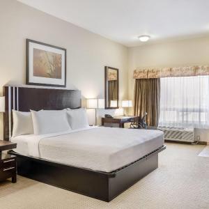 King Room - Disability Access - Non-Smoking