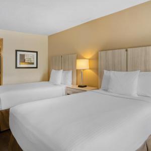 Standard Room with Two Double Beds