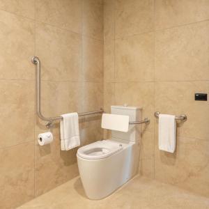Accessible Standard King Room