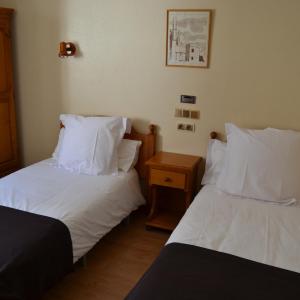 Basic Twin Room