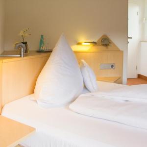 Big Single Room - Lake or Mountain View