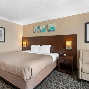 King Room -Non-Smoking 
