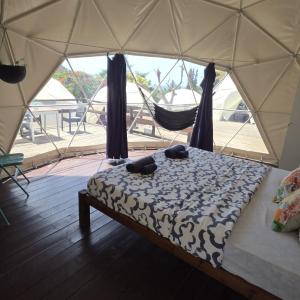 Dome Deluxe 