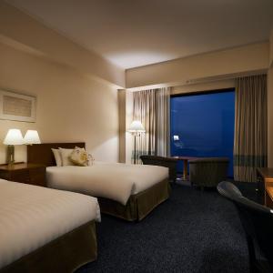 Superior Twin Room with Lake View