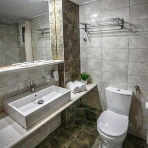 Deluxe Double or Twin Room with River View
