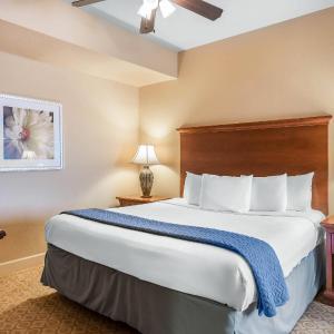 Superior Two Bedroom Suite