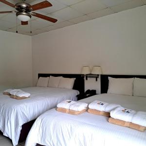 Villa Suite