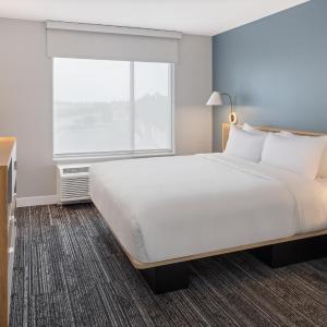 One-Bedroom King Suite with Sofa Bed and Roll-in Shower - Mobility Accessible