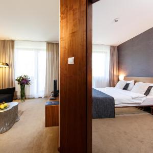 Deluxe One-Bedroom Apartment