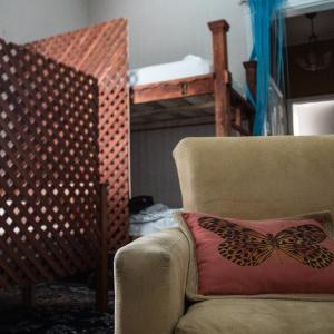 Bed in 5 bed mixed dormitory room with private bathroom