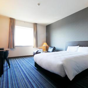 Standard Double Room - Non-Smoking