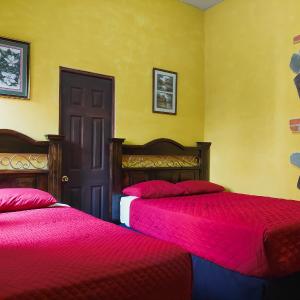 Standard Twin Room with Garden View