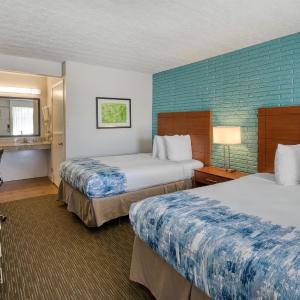 Double Room with Two Double Beds and Roll-In Shower - Disability Access/Non-Smoking