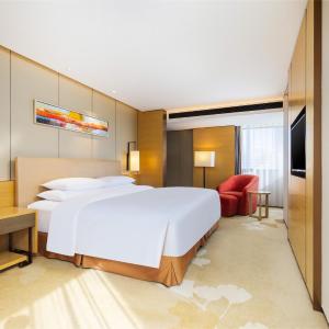 City View Business Superior Suite Room