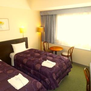 Standard Twin Room - Non-Smoking
