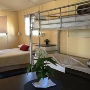 Small Ensuite Family Cabin – Pet Friendly 