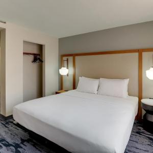 Large King Suite with Sofa Bed - Non-Smoking