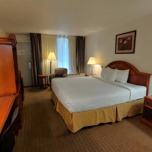 King Room - Disability Access