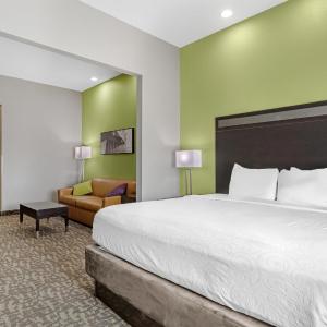 King Suite with Bath Tub and Sofa Bed - Disability/Non-Smoking