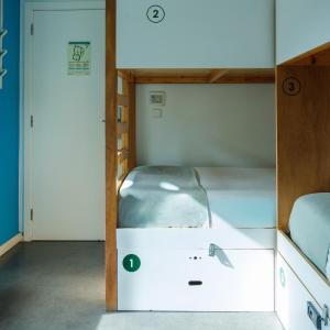 Bed in 4-Bed Mixed Dormitory Room with Shared Bathroom