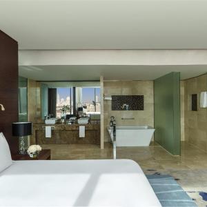 One-Bedroom King Suite with View