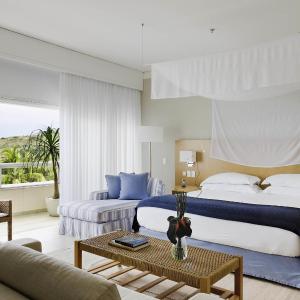 Luxury Suite with One King Bed