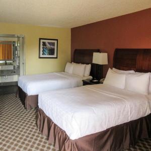 Standard Double Room with Two Double Beds - Non-Smoking
