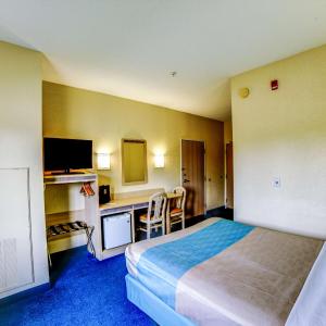 Queen Room - Disability Access - Roll in Shower