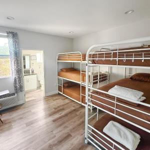 Bunk Bed in Female Dormitory Room  