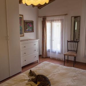 One-Bedroom Apartment (3 Adults)
