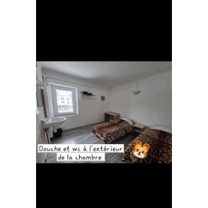 Double or Twin Room with Shared Bathroom