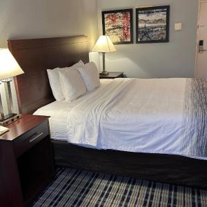 King Room with Mobility Access and Bathtub with Grab Bars, Non-Smoking